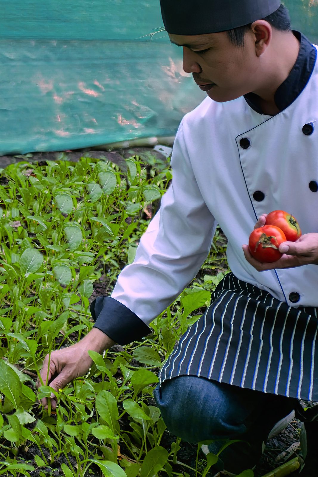 Farm-to-table dining at MonPanaNont
