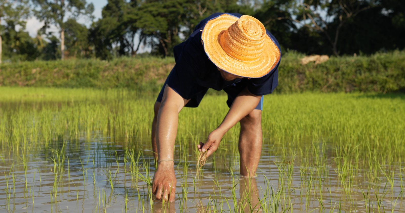 Wellness and practice at MonPanaNont